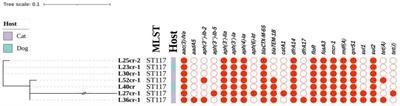 Characteristics of the plasmid-mediated colistin-resistance gene mcr-1 in Escherichia coli isolated from a veterinary hospital in Shanghai